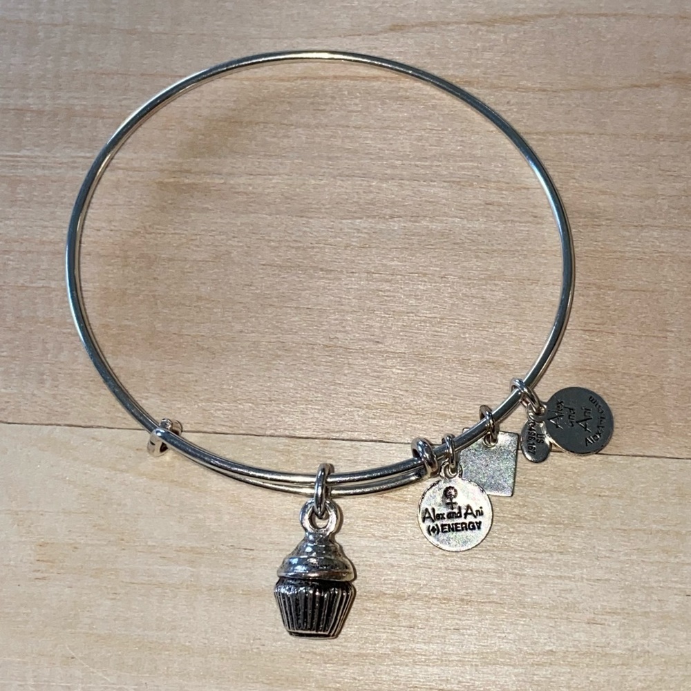 Alex and Ani Bracelet